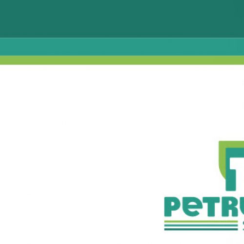 Petrotek Sistemas – Parceria